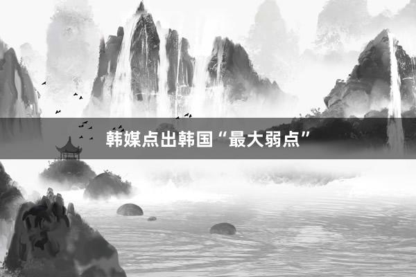 韩媒点出韩国“最大弱点”