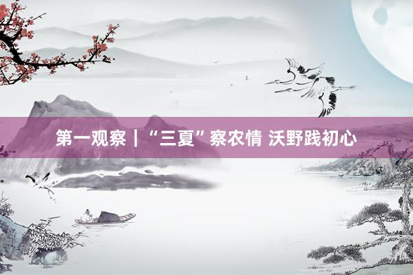第一观察｜“三夏”察农情 沃野践初心