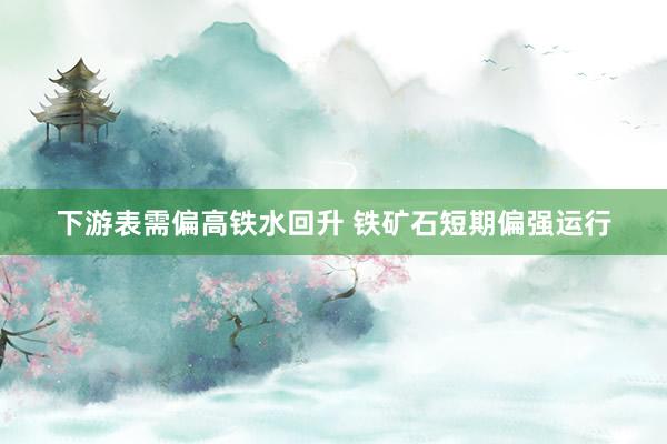下游表需偏高铁水回升 铁矿石短期偏强运行