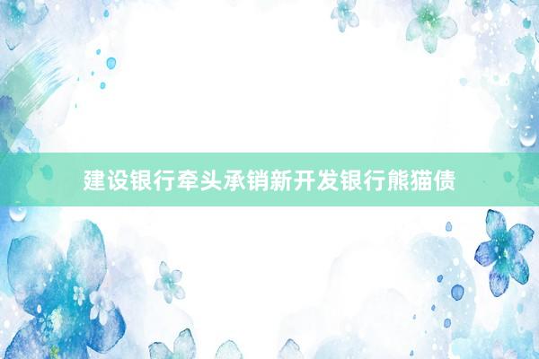建设银行牵头承销新开发银行熊猫债