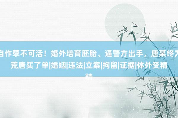 自作孽不可活！婚外培育胚胎、逼警方出手，唐某终为荒唐买了单|婚姻|违法|立案|拘留|证据|体外受精