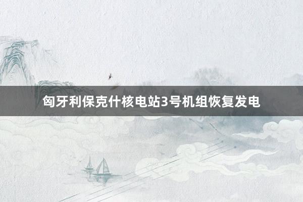 匈牙利保克什核电站3号机组恢复发电