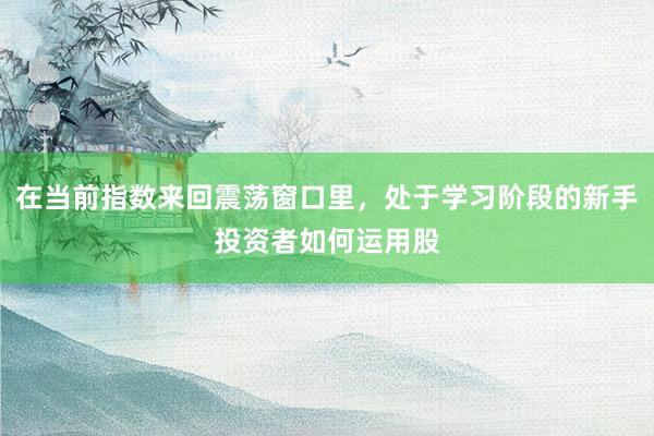 在当前指数来回震荡窗口里，处于学习阶段的新手投资者如何运用股
