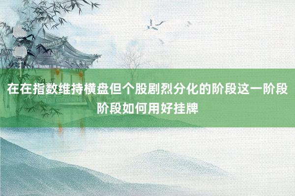 在在指数维持横盘但个股剧烈分化的阶段这一阶段阶段如何用好挂牌