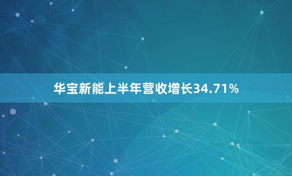 华宝新能上半年营收增长34.71%