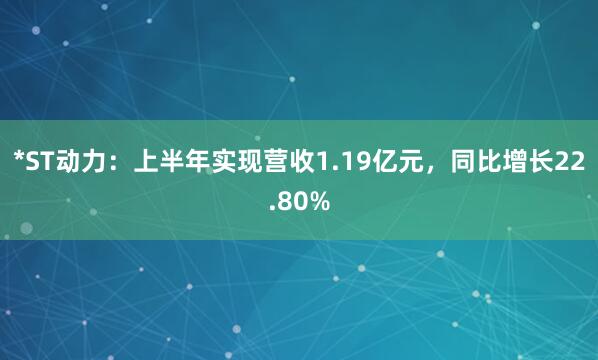 *ST动力：上半年实现营收1.19亿元，同比增长22.80%