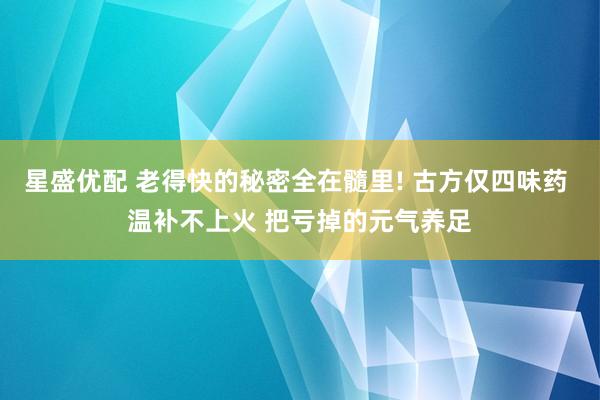 星盛优配 老得快的秘密全在髓里! 古方仅四味药 温补不上火 把亏掉的元气养足