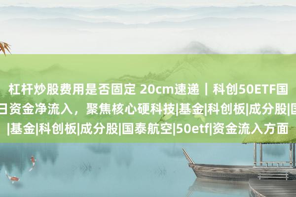 杠杆炒股费用是否固定 20cm速递｜科创50ETF国泰（589360）连续2日资金净流入，聚焦核心硬科技|基金|科创板|成分股|国泰航空|50etf|资金流入方面