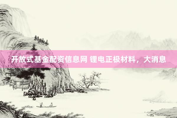 开放式基金配资信息网 锂电正极材料，大消息