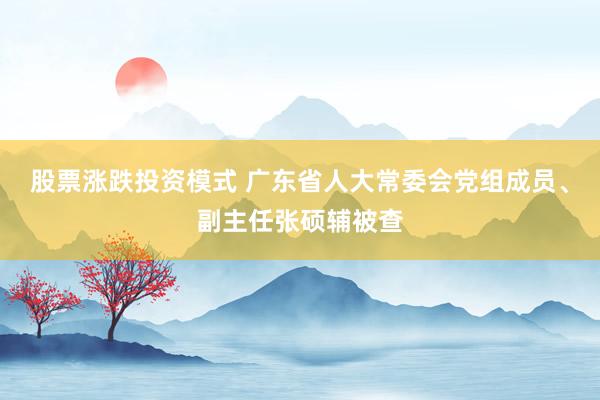 股票涨跌投资模式 广东省人大常委会党组成员、副主任张硕辅被查